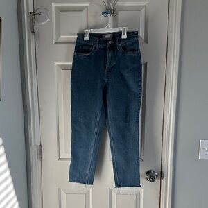 Everlane The Original Cheeky Jean